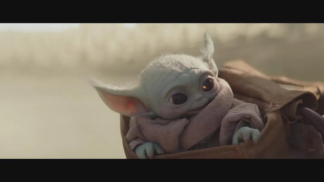 9剧照