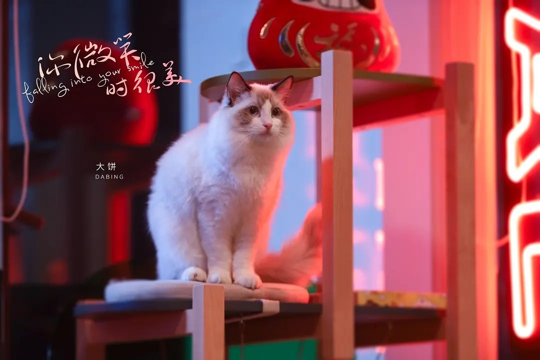 5剧照