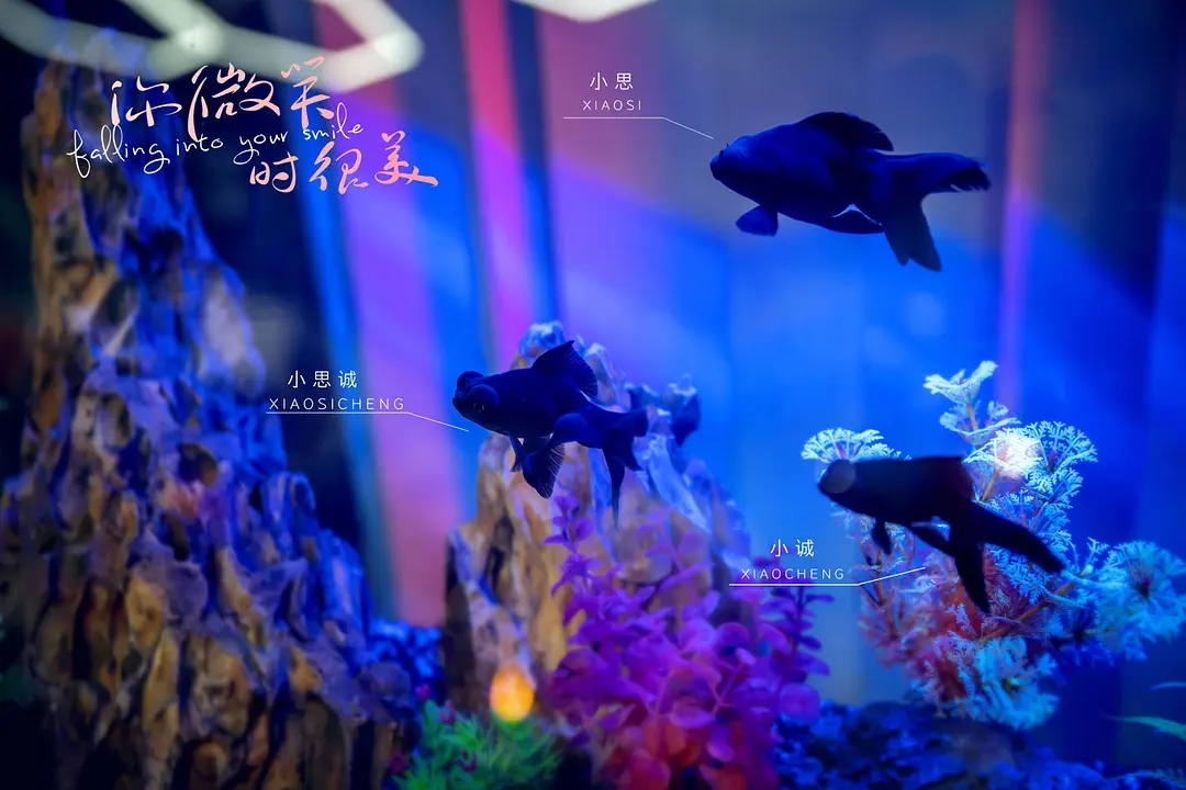 7剧照