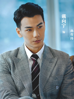 孙哲玮（戴向宇饰演）