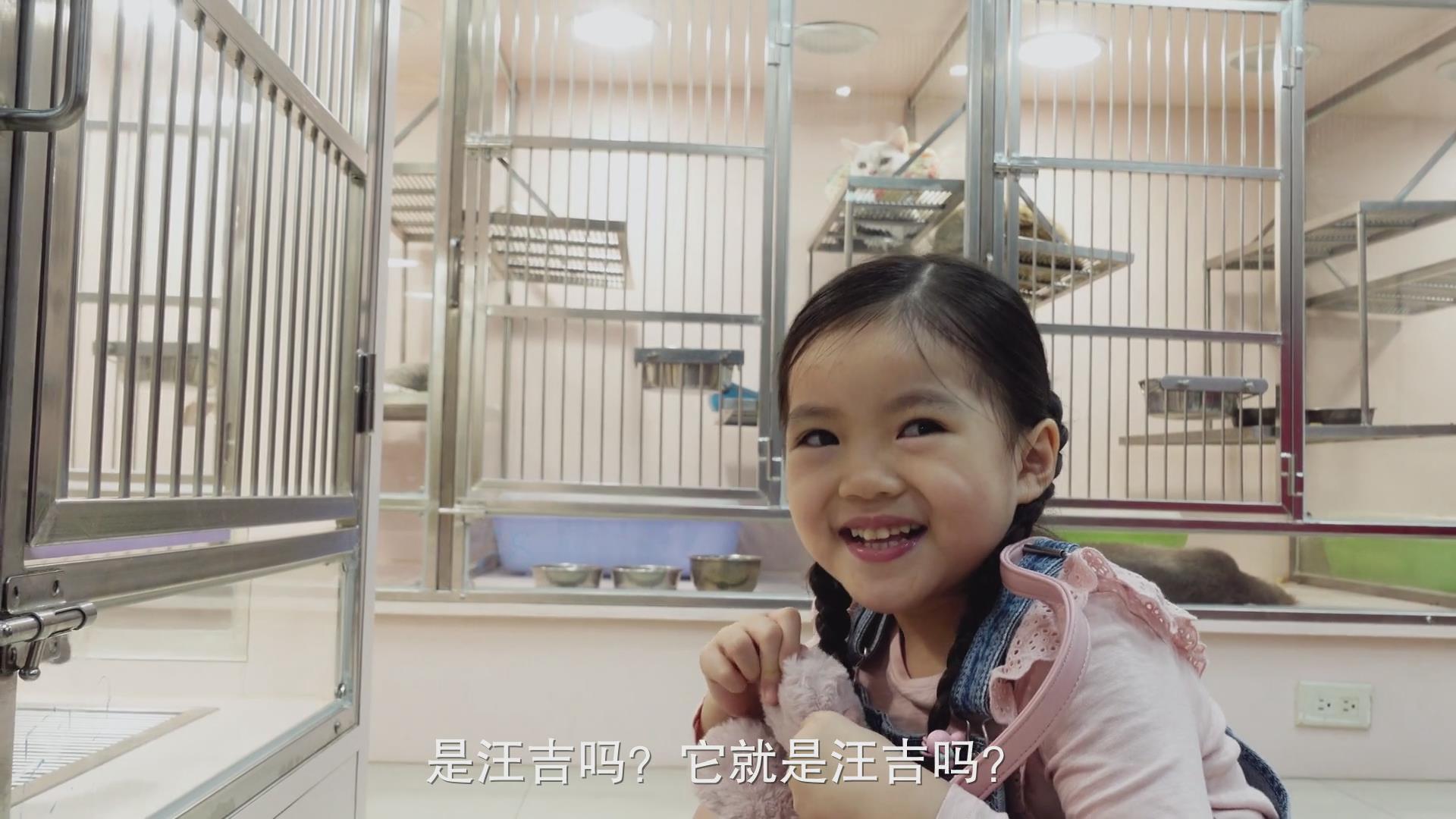 3剧照