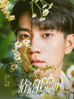 王子奇剧照