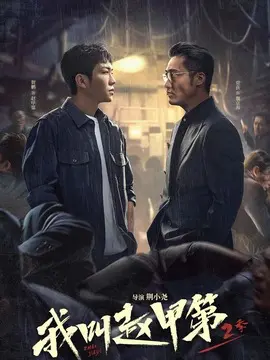 我叫赵甲第2剧情介绍大结局