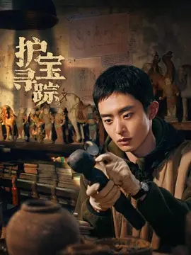 护宝寻踪剧情介绍大结局