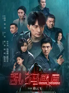 乱码迷局剧情介绍大结局