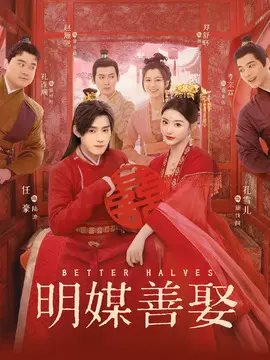 明媒善娶剧情介绍大结局