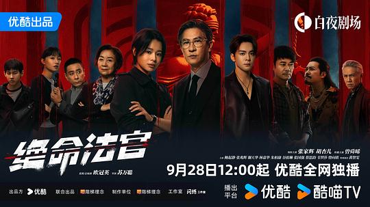 绝命法官海报剧照