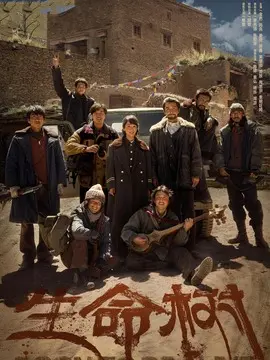 生命树剧情介绍大结局