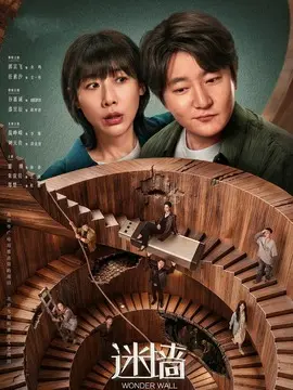 迷墙剧情介绍大结局