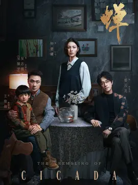 婵剧情介绍大结局