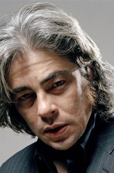 Vincent Roche（本尼西奥·德尔·托罗饰演）