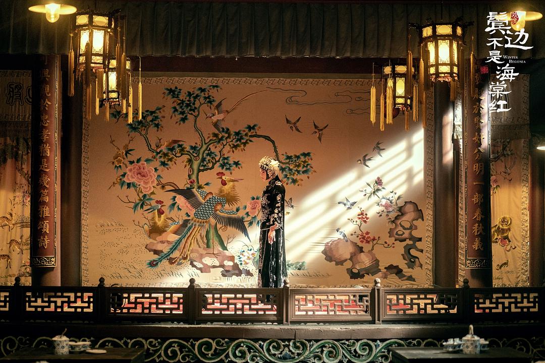 鬓边不是海棠红剧照