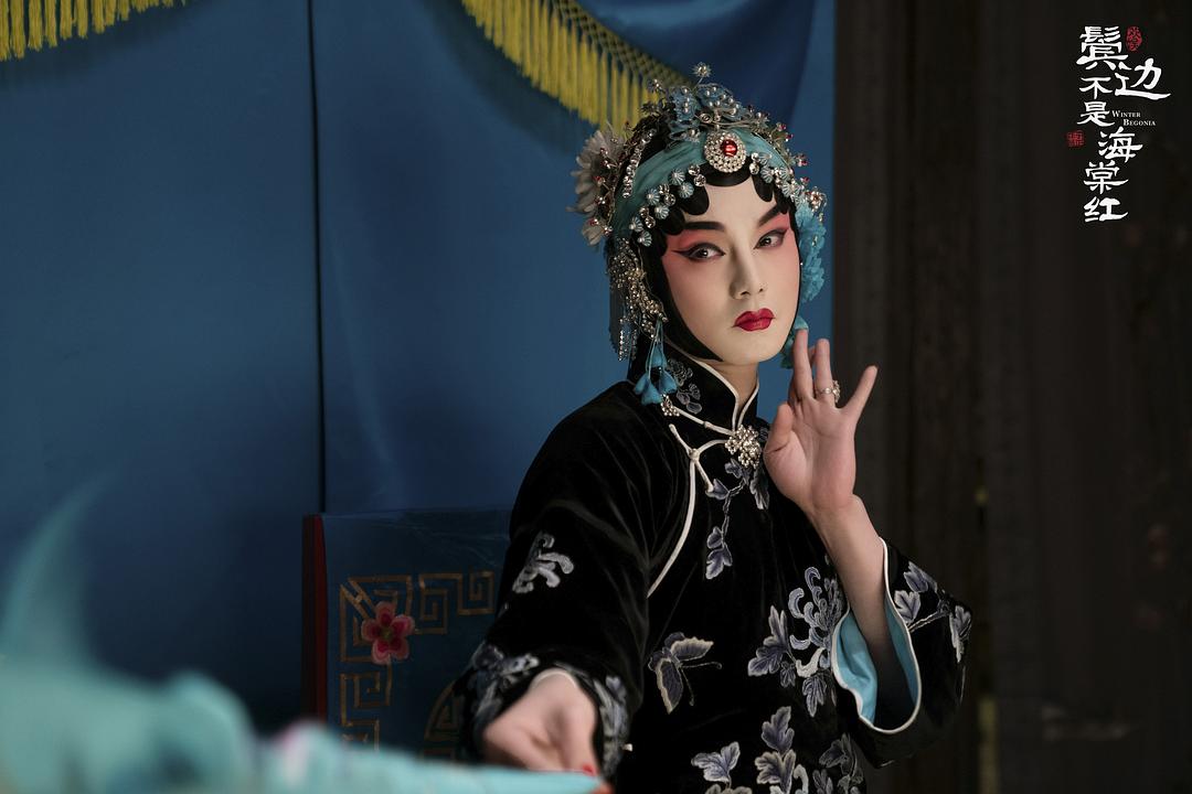 鬓边不是海棠红剧照