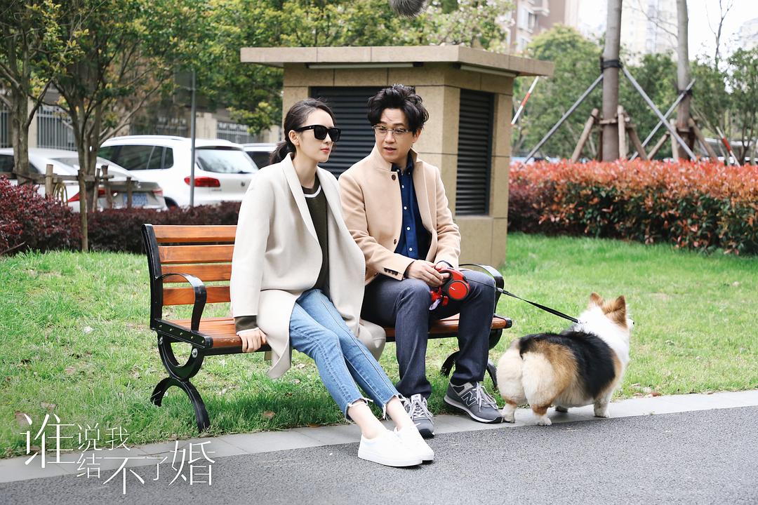 谁说我结不了婚剧照