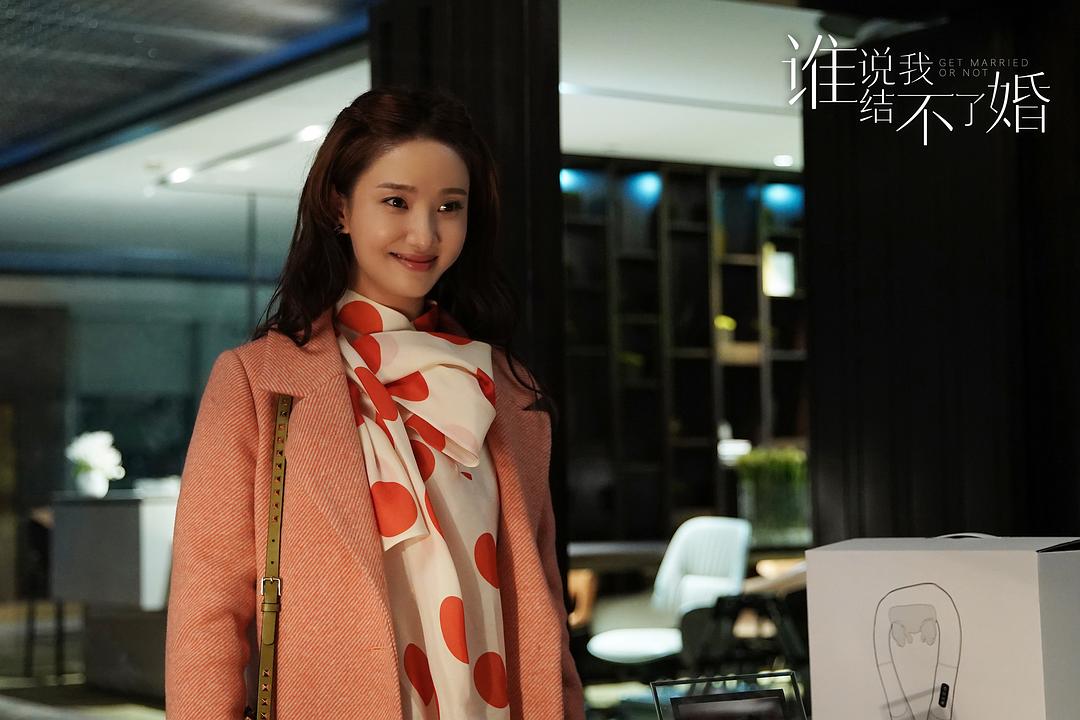 谁说我结不了婚剧照